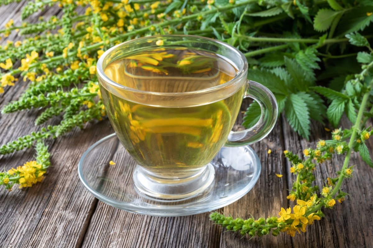 Té de nabo en taza