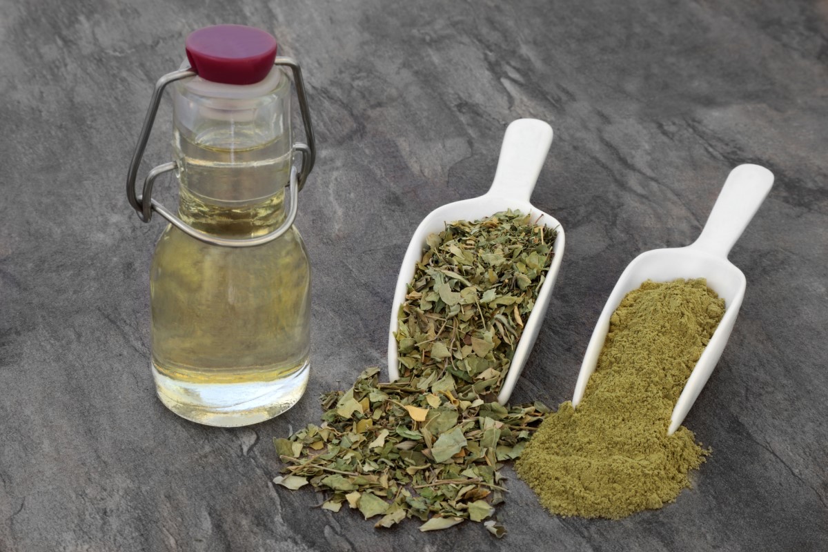 Diferentes formas de moringa: aceite en una botella, partes picadas en una cuchara, molida en una cuchara