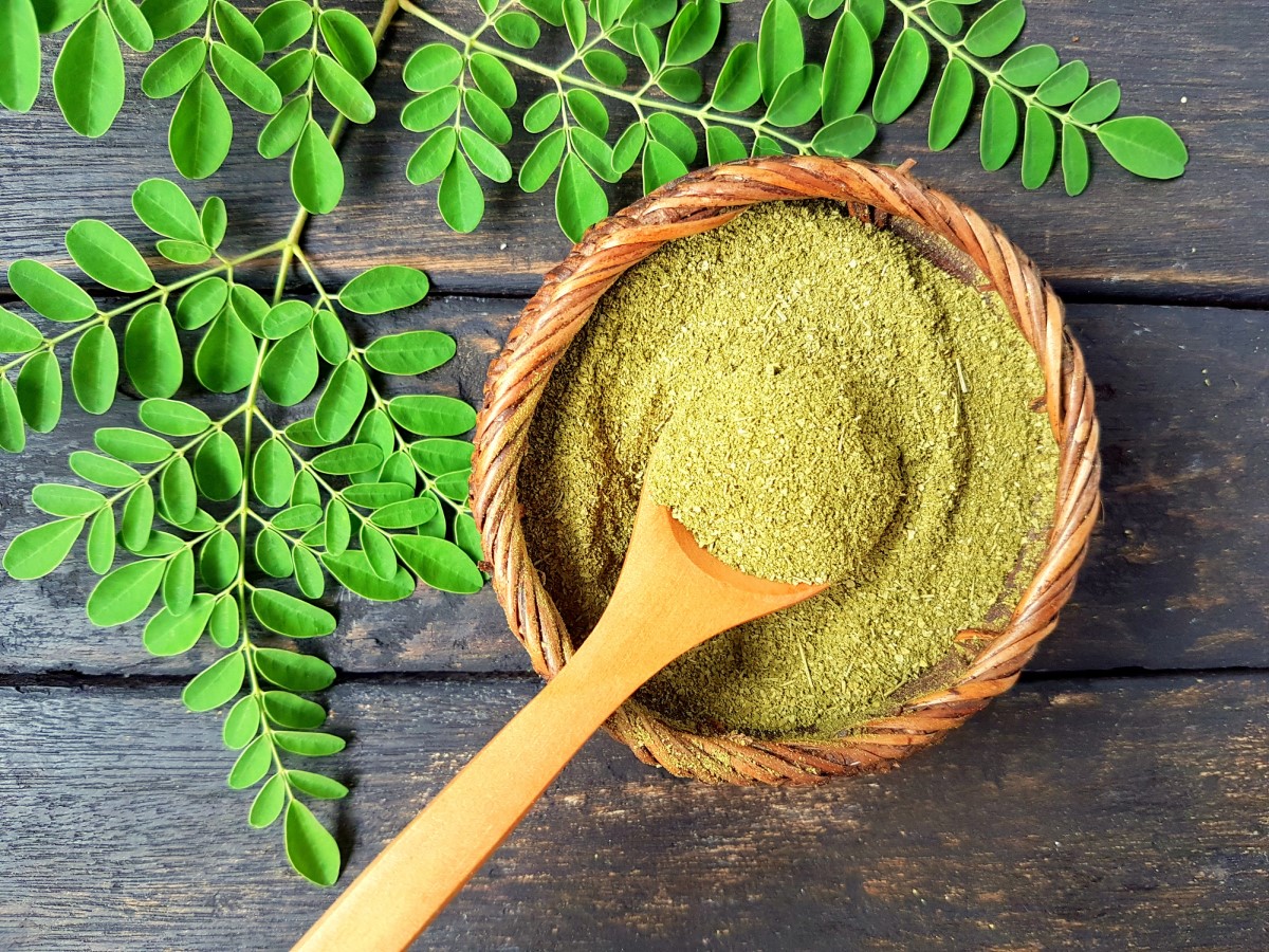 Moringa molida en un cuenco de agua hirviendo, hojas de árbol