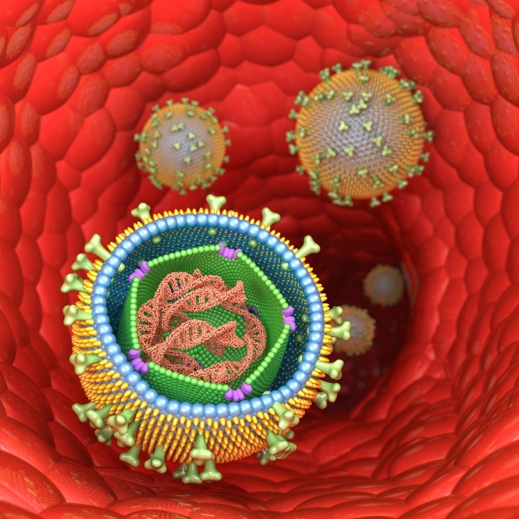 Representación tridimensional de la estructura del virus de Epstein-Barr (mononucleosis infecciosa) en células humanas