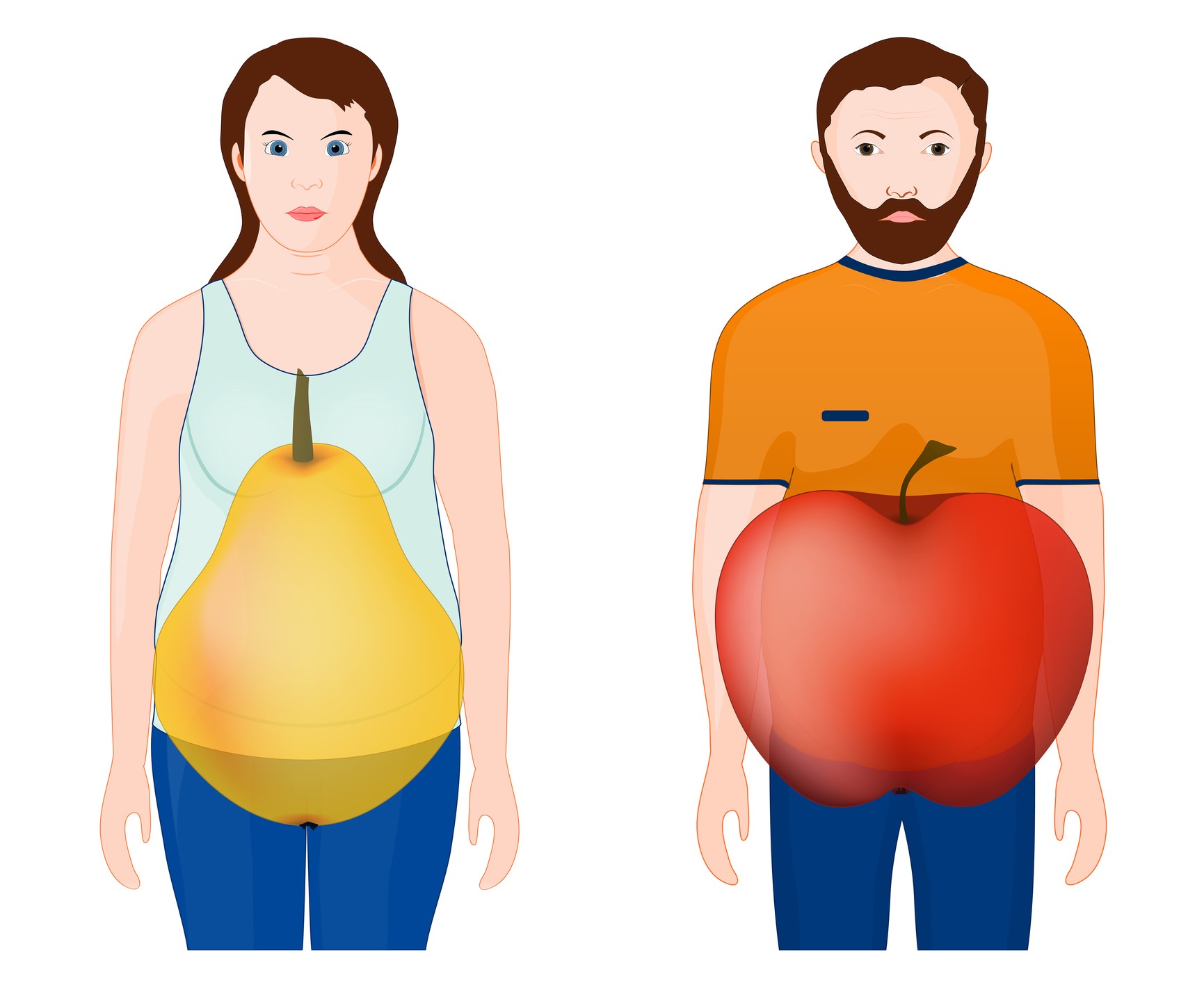 Animación que muestra la forma del cuerpo - mujer, pera, hombre, manzana