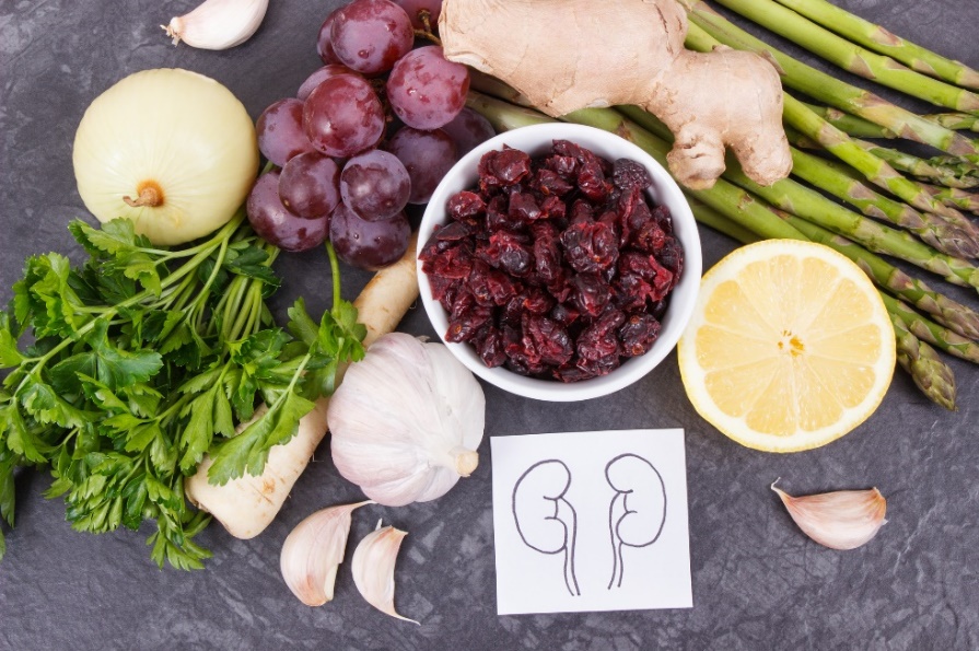 Promover y prevenir la salud de los riñones y las vías urinarias mediante una dieta adecuada