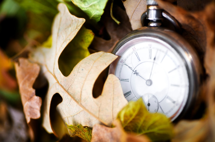 Manecillas de un reloj entre las hojas de otoño