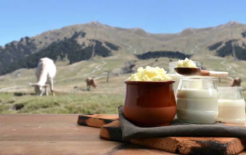 Bryndza y productos lácteos con paisaje y ovejas al fondo