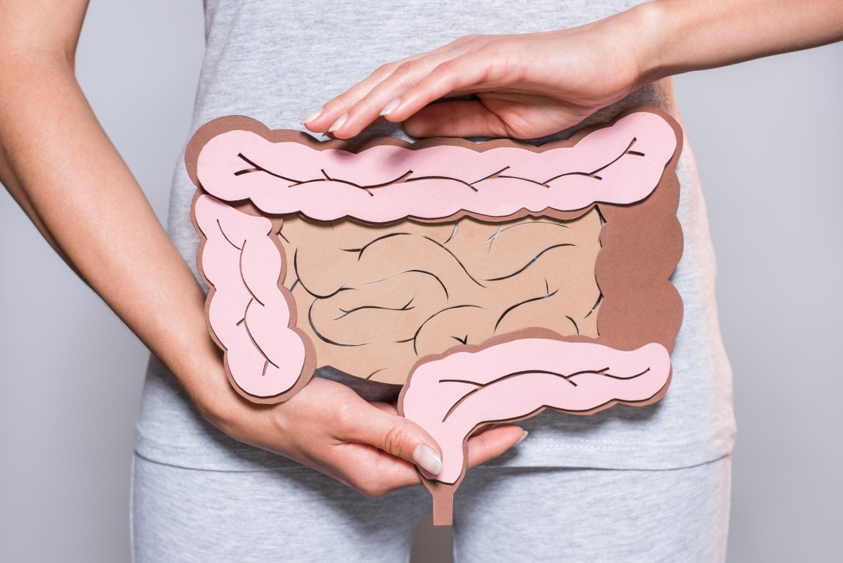 Intestinos dibujados en un papel sostenido por una mujer - representación del aparato digestivo