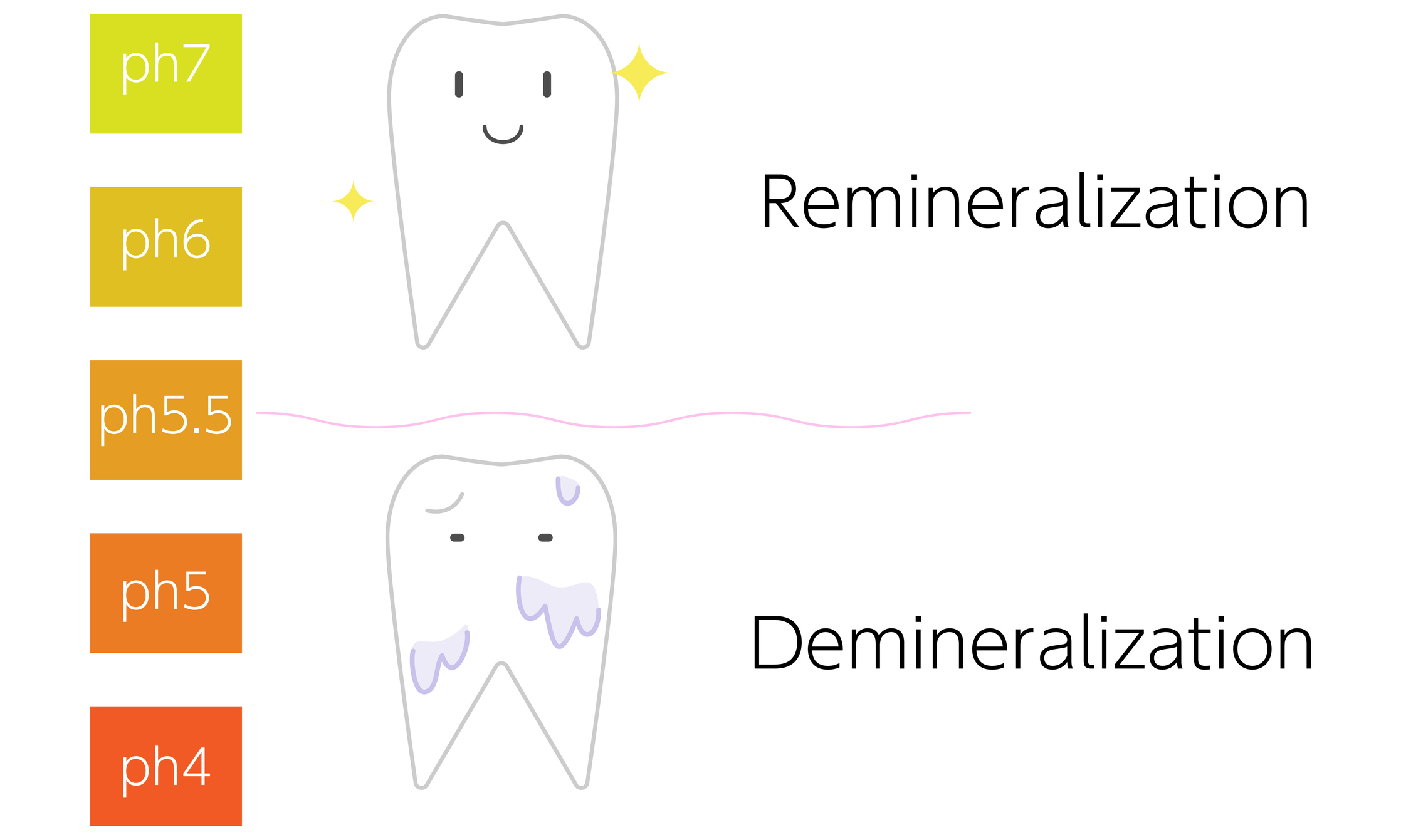 Se considera que el valor crítico del pH de la saliva es de 5,5. A partir de este valor, comienza el proceso de desmineralización del esmalte dental.