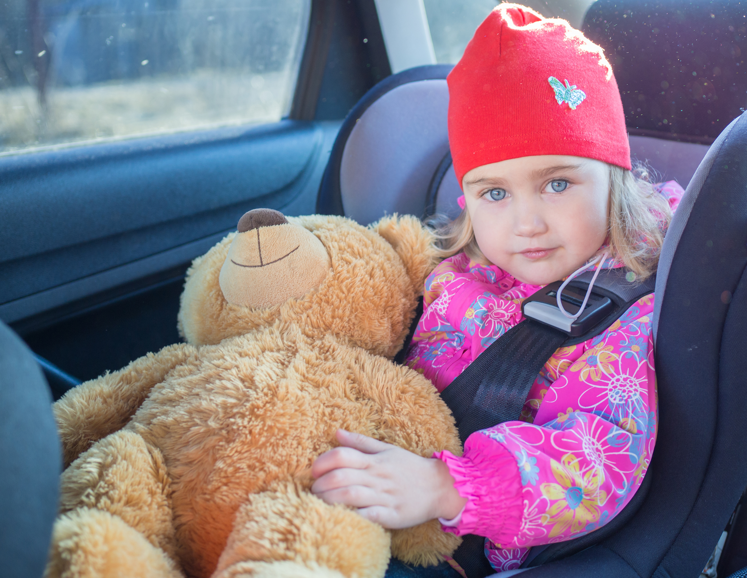 Bebé en el asiento del coche, sentado, mirando, mirada satisfecha, sosteniendo un osito de peluche