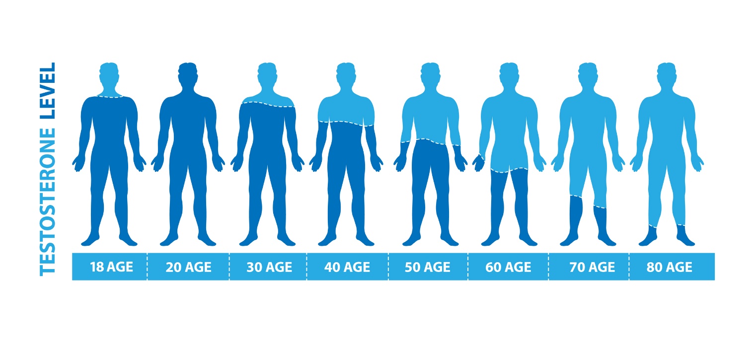 Niveles de testosterona en función de la edad del hombre