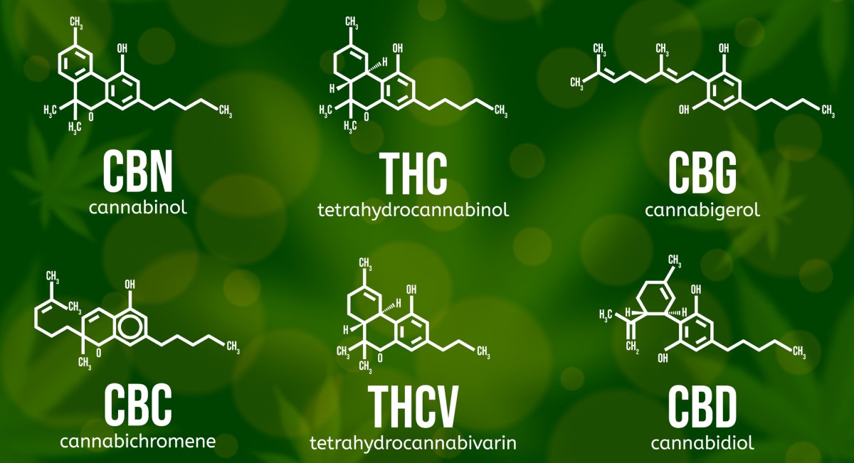 Cannabinoides conocidos y sus moléculas