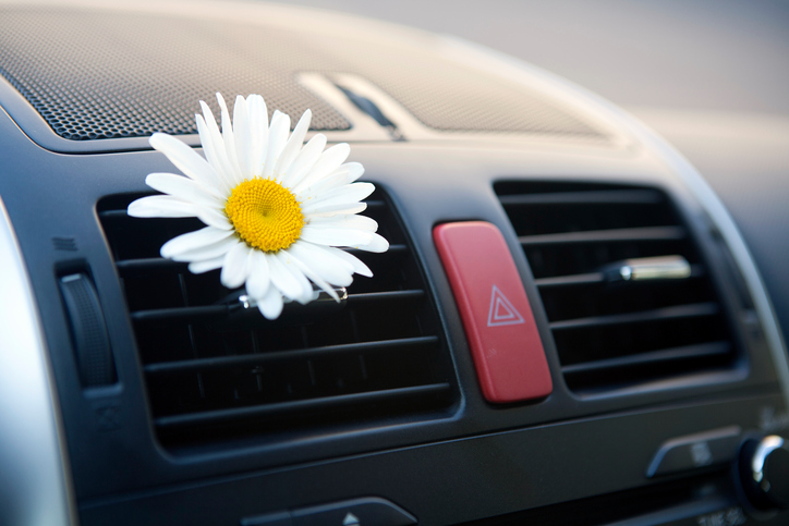 Aire acondicionado en el coche, escape de aire, flor, aroma agradable, mantenimiento