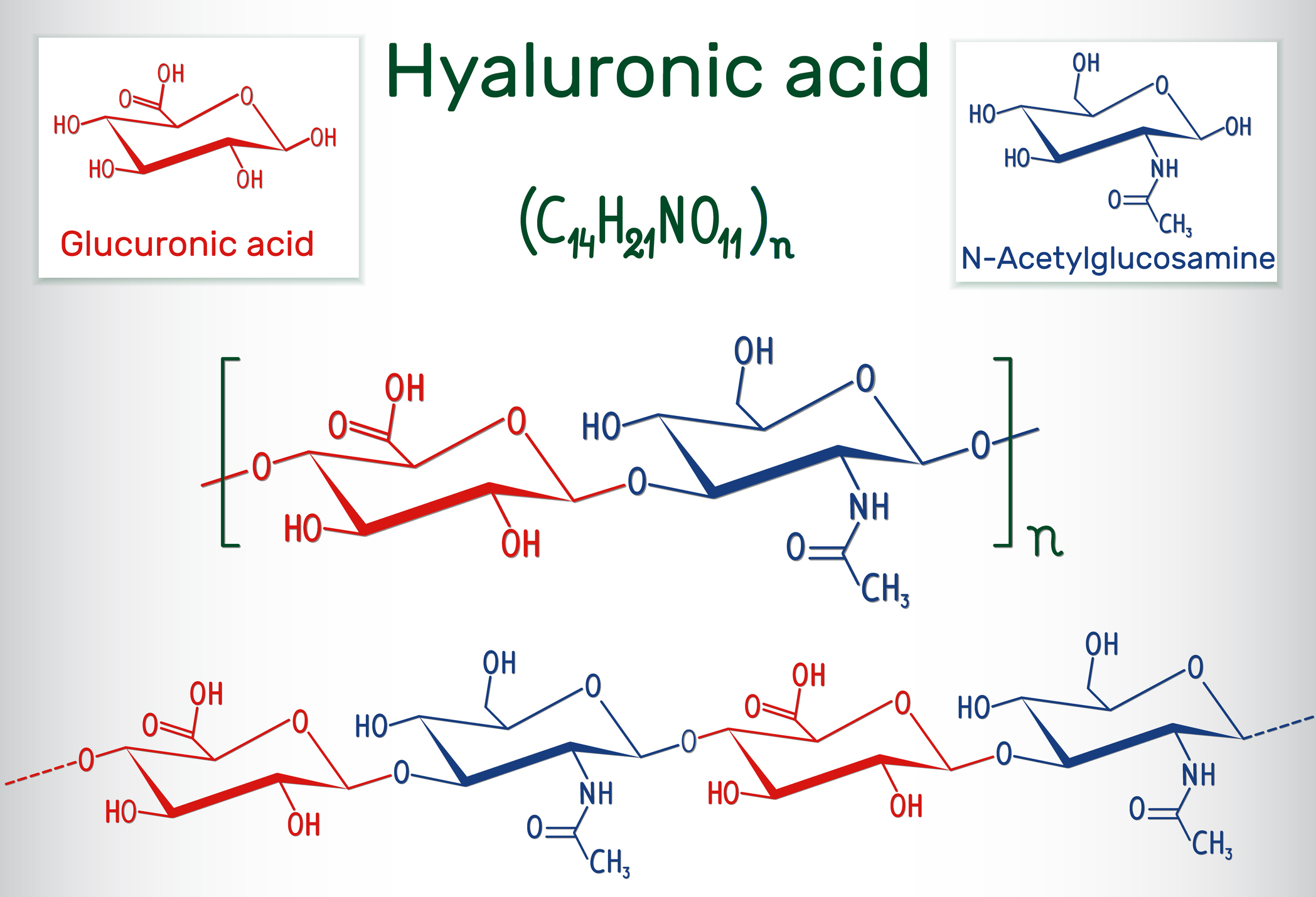 Composición del ácido hialurónico