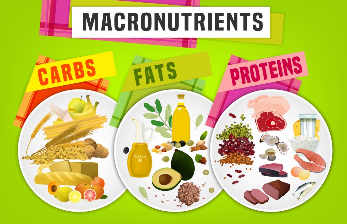 Macronutrientes - azúcares, grasas, proteínas - animación de platos y alimentos con determinados nutrientes