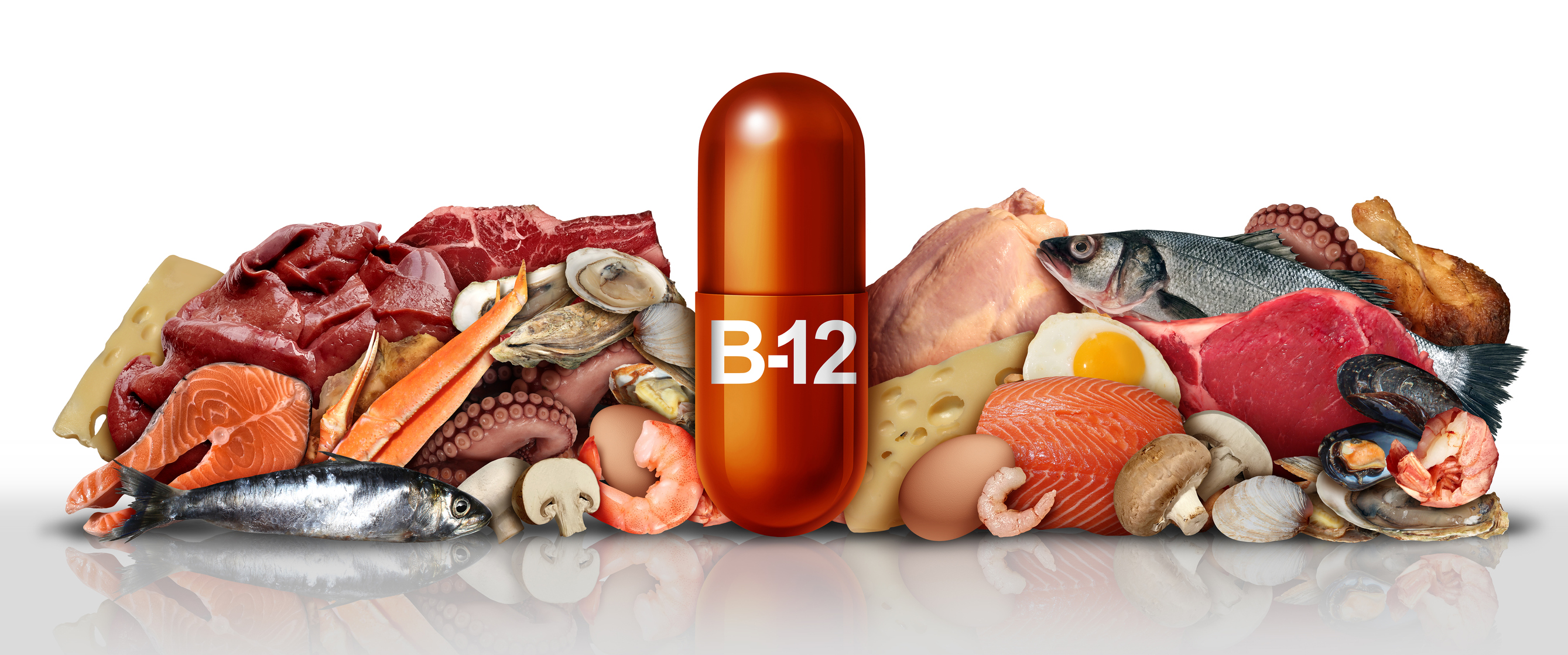 Productos que contienen vitamina B12