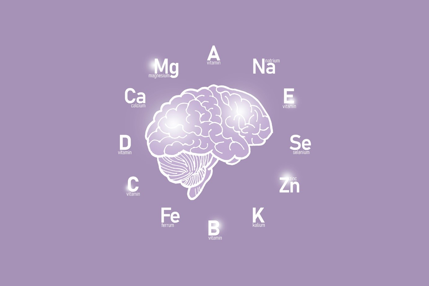 El selenio también tiene una función importante para el cerebro y el sistema neurológico.