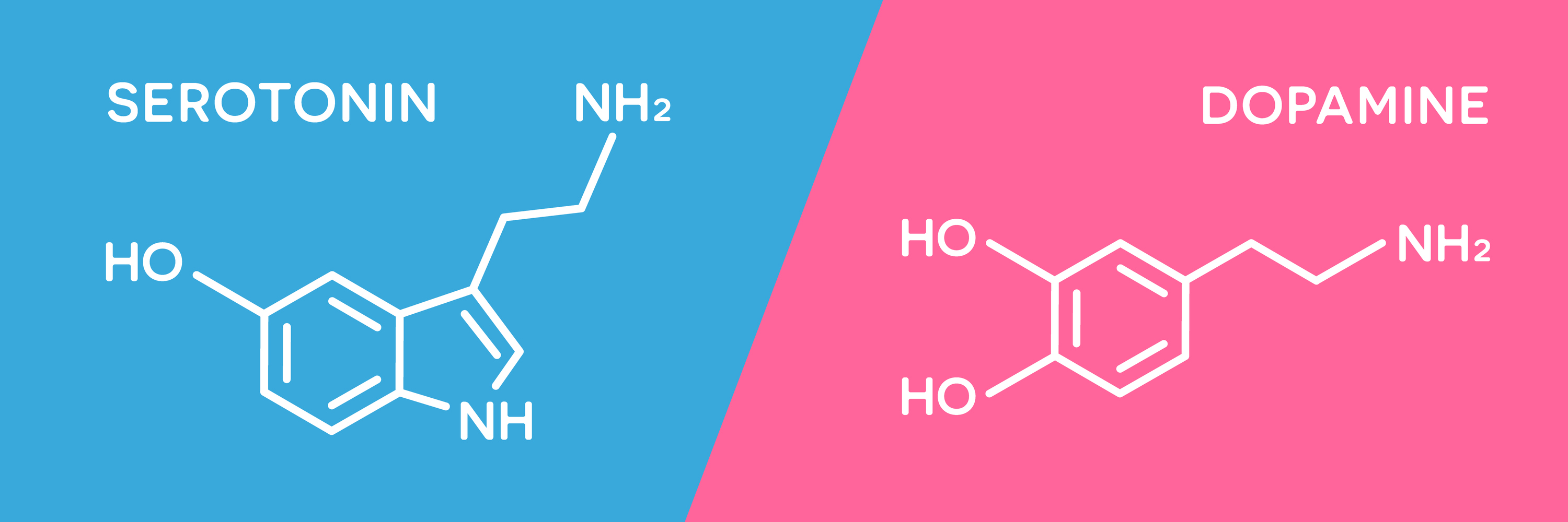 Un desequilibrio en los niveles de serotonina o dopamina puede provocar trastornos de ansiedad. 