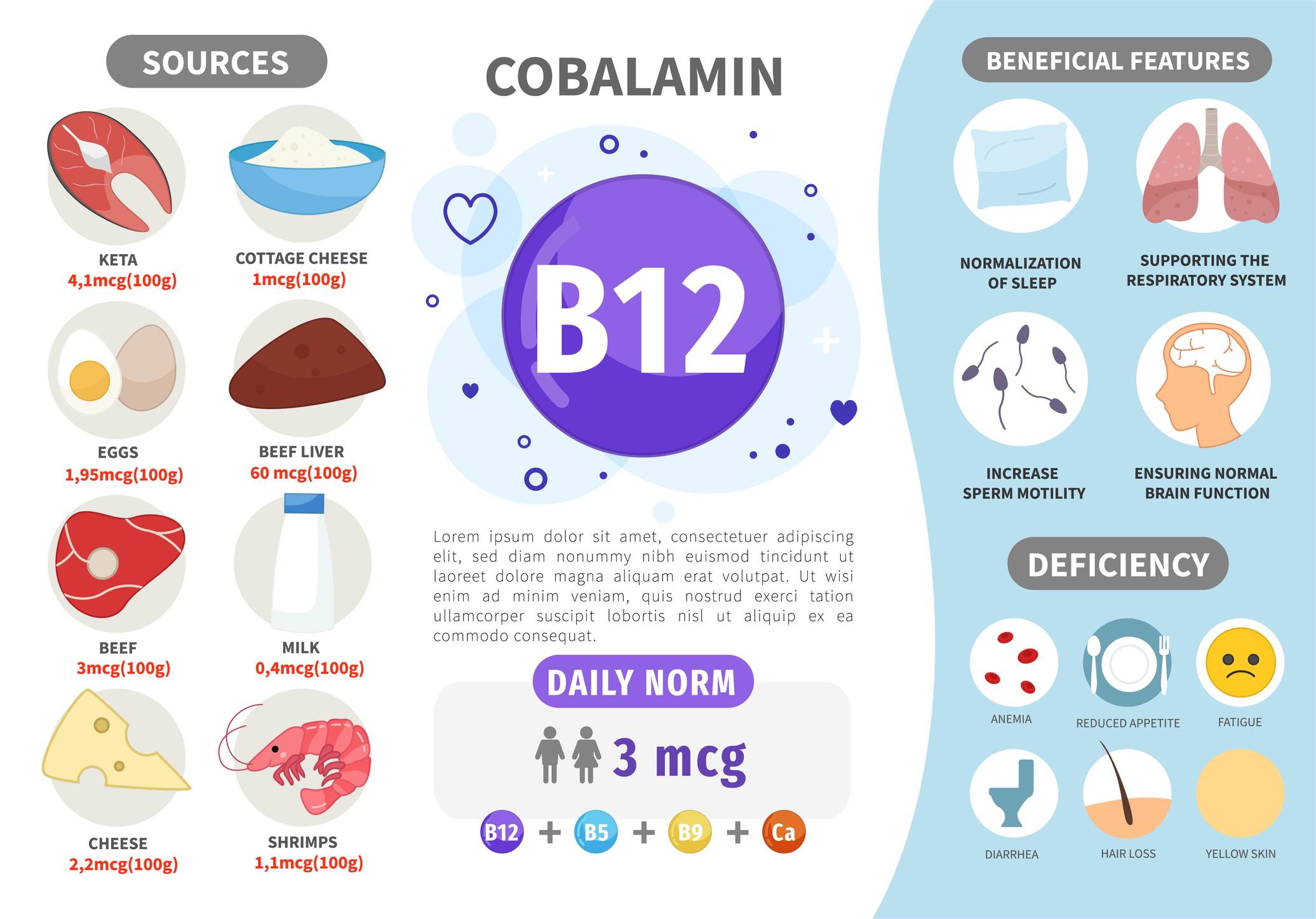 Fuentes de vitamina B12