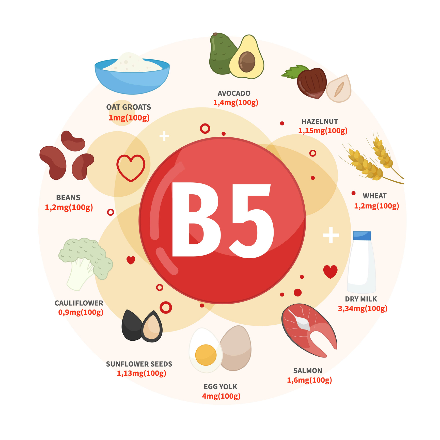 Las mejores fuentes de vitamina B5 son los aguacates, las avellanas, el trigo, la leche, el salmón, los huevos, las semillas de girasol, la coliflor, las judías y la avena. 