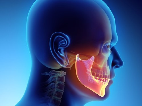 Cabeza y vista de la articulación temporomandibular