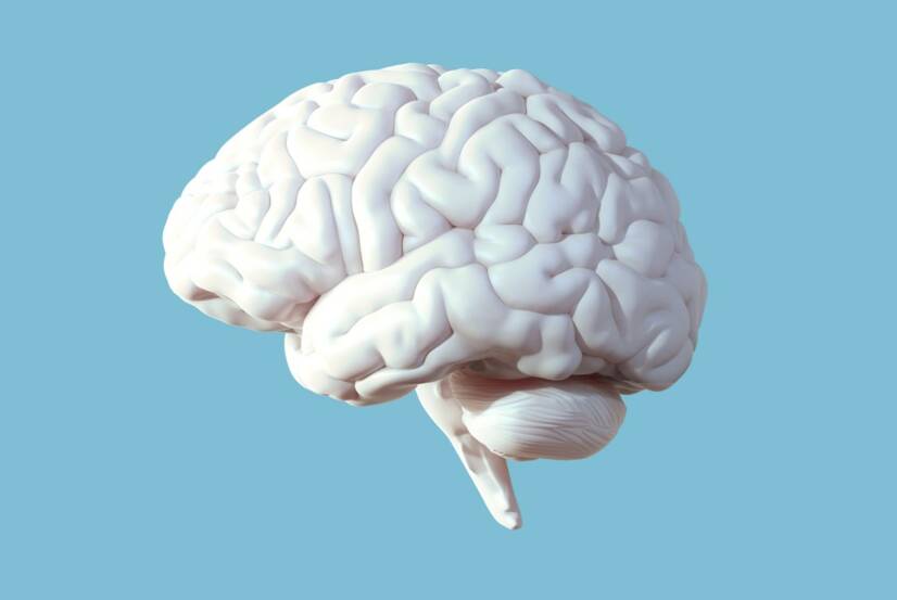 Absceso cerebral: ¿qué es y cómo se manifiesta? ¿Por qué se produce una infección cerebral?