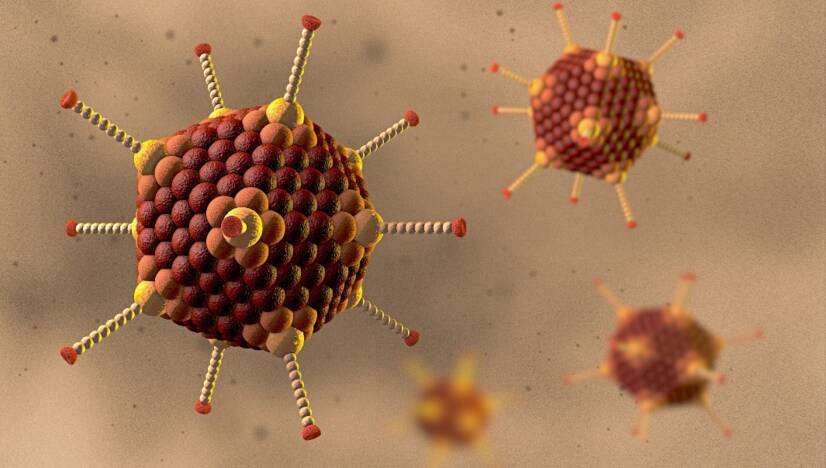 Infección por adenovirus: ¿qué es el adenovirus, cómo se transmite y síntomas?