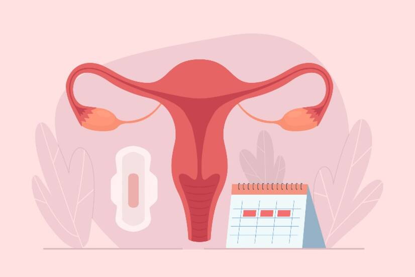 ¿Cómo funciona el ciclo menstrual? Duración y fases del ciclo + síntomas