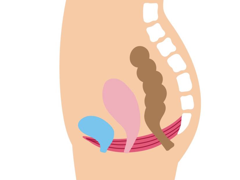 Suelo pélvico: cuál es su función e importancia en la mujer + Ejercicios de fortalecimiento y relajación