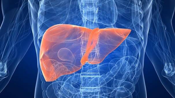 Agrandamiento del hígado: ¿qué indica? ¿Qué enfermedades lo provocan?