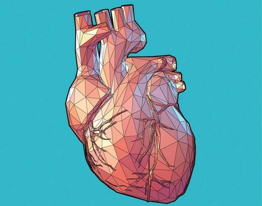 Agrandamiento del corazón: ¿por causa médica o por deporte? (Cardiomegalia)