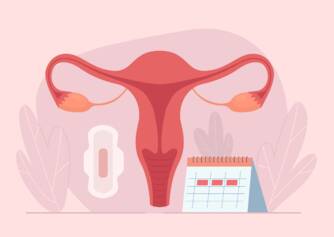 ¿Cómo funciona el ciclo menstrual? Duración y fases del ciclo + síntomas