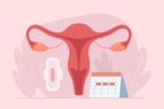 ¿Cómo funciona el ciclo menstrual? Duración y fases del ciclo + síntomas